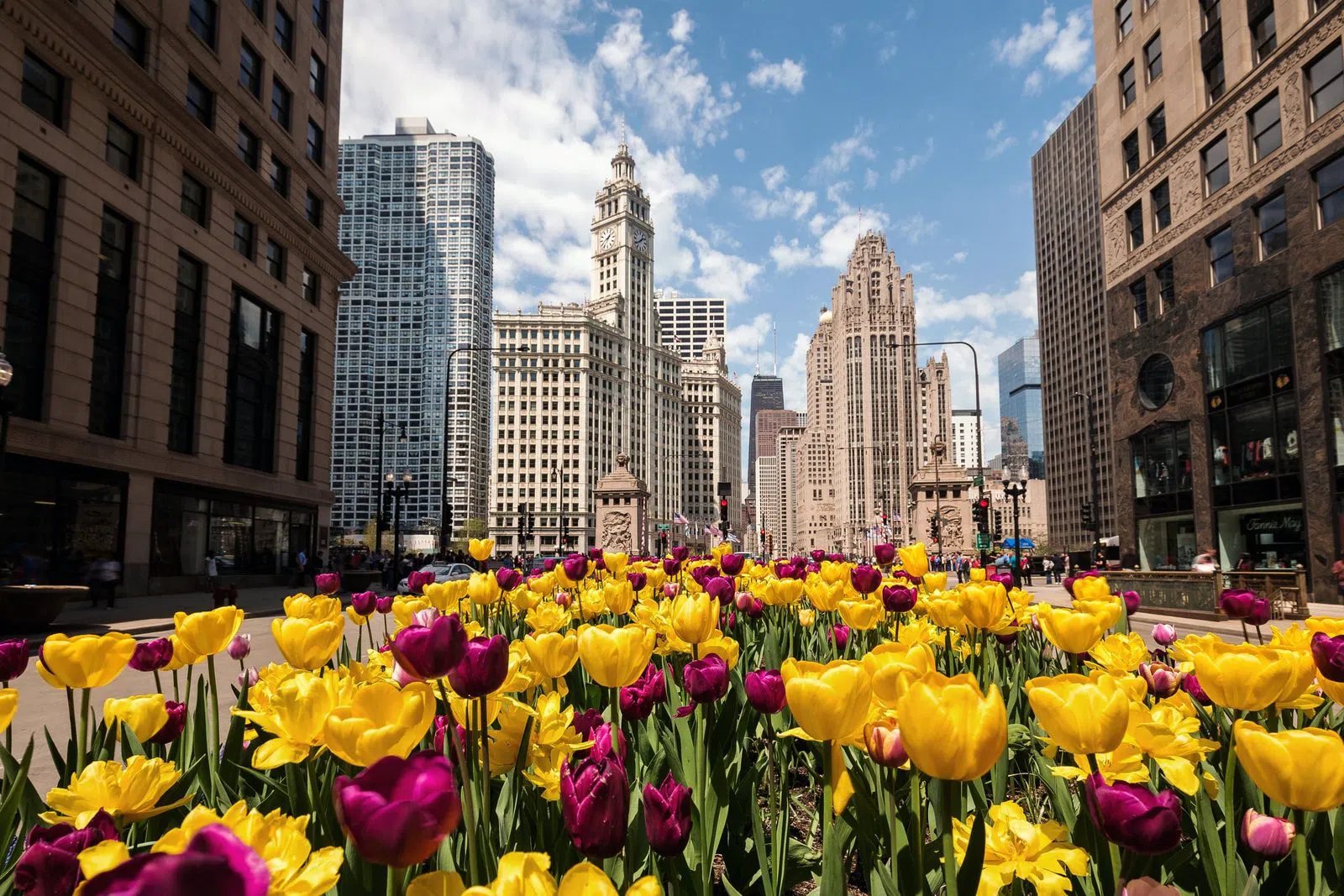 Walking Chicago's Magnificent Mile in October 2026