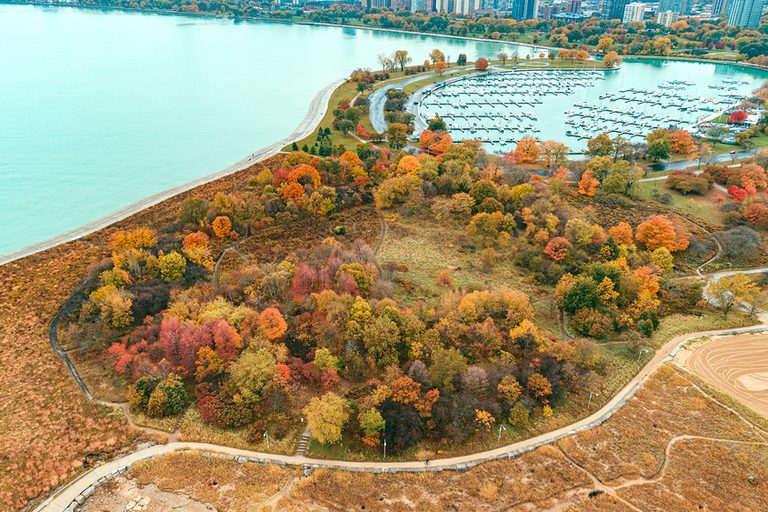 Montrose Point Bird Sanctuary (the Magic Hedge), Chicago