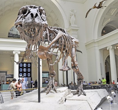 Field Museum of Natural History