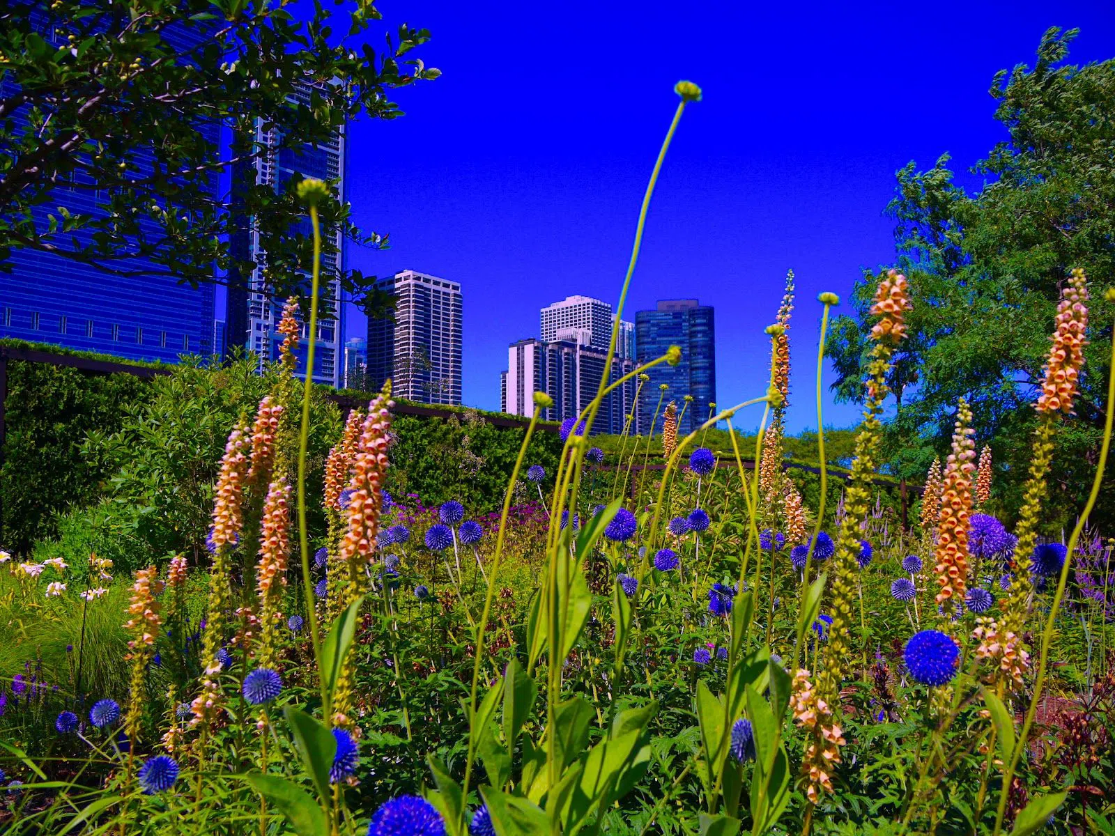 Millennium Park Welcome Center, Chicago